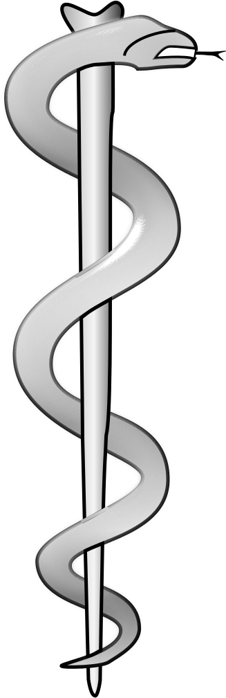 The Rod Of Aesculapius - Rod Of Asclepius 3d (401x1023), Png Download