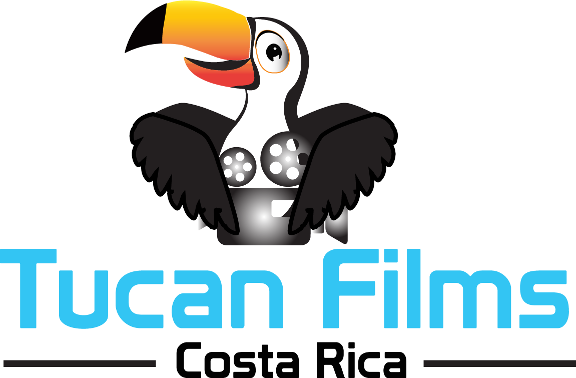 Hornbill (1151x755), Png Download