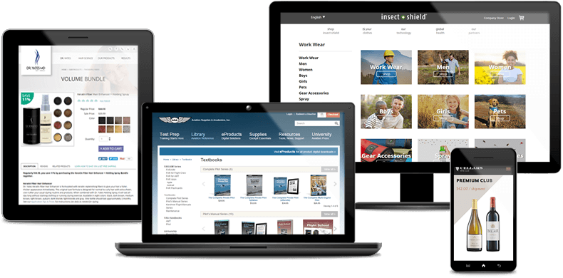 Increase Sales With Our E-commerce Website - Website (790x390), Png Download
