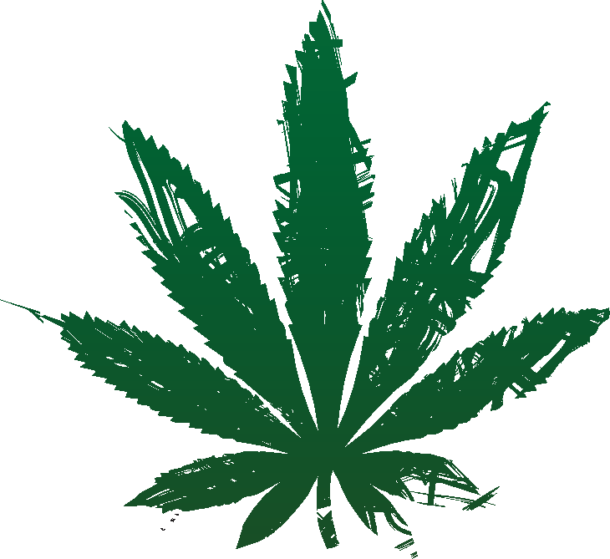 Leaf Scribble - Cannabis Symbol (610x559), Png Download