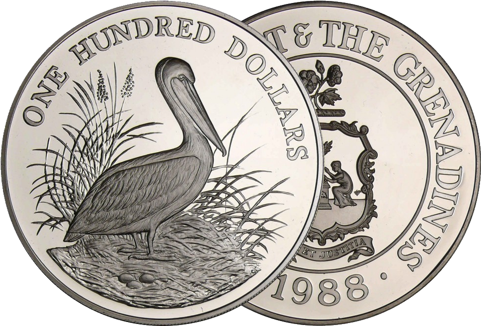 St Vincent And The Grenadines, 100 Dollars, Pelican, - Black Stork (1000x661), Png Download