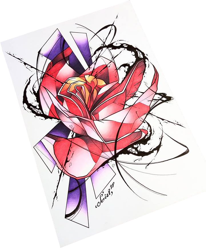 Poppy Flower - Hybrid Tea Rose (720x960), Png Download