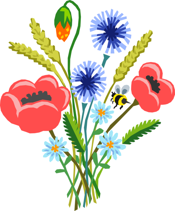 Vector Illustration Of Poppy Flower Bouquet With Bumblebee (582x700), Png Download