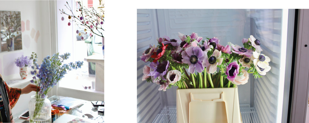 Interview With Thilde Kristensen, Flower Artist At - Poppy Kalas (1000x400), Png Download