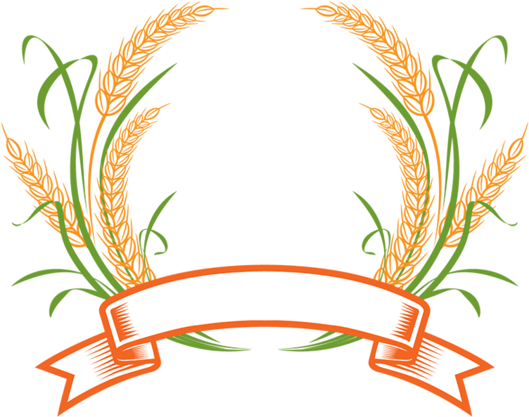 Logo Wheat Cereal Download Hd Png - Indian Pulses And Grains Association (800x645), Png Download