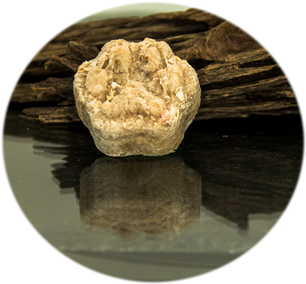 Cherimoya (940x582), Png Download