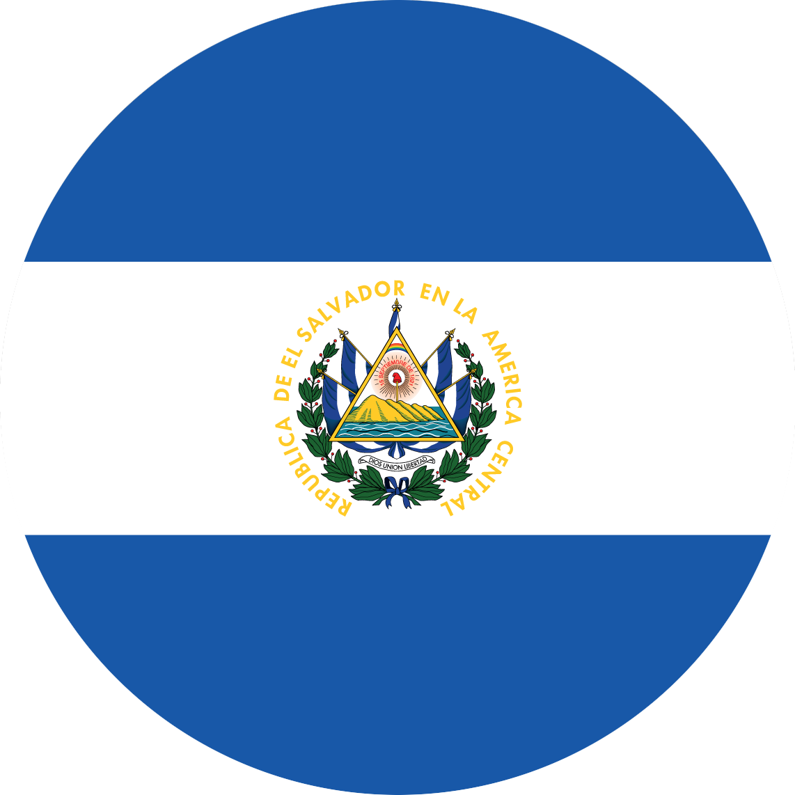Web Or Cash To A Mobile Phone - El Salvador Flag Png (1142x1142), Png Download