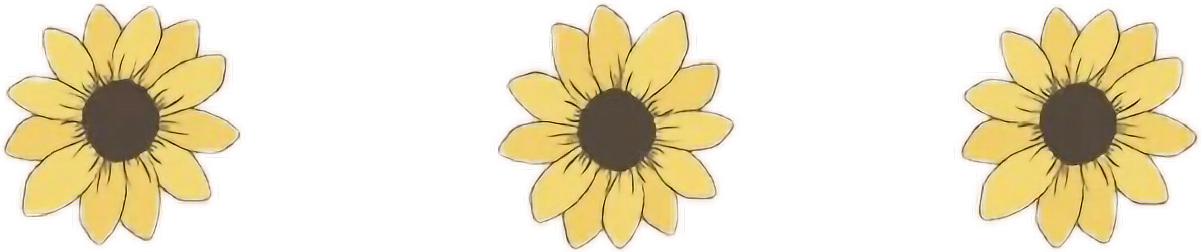Girasol Drawflowers Tumblr Png Aesthetic Flowers Flores (2380x500), Png Download