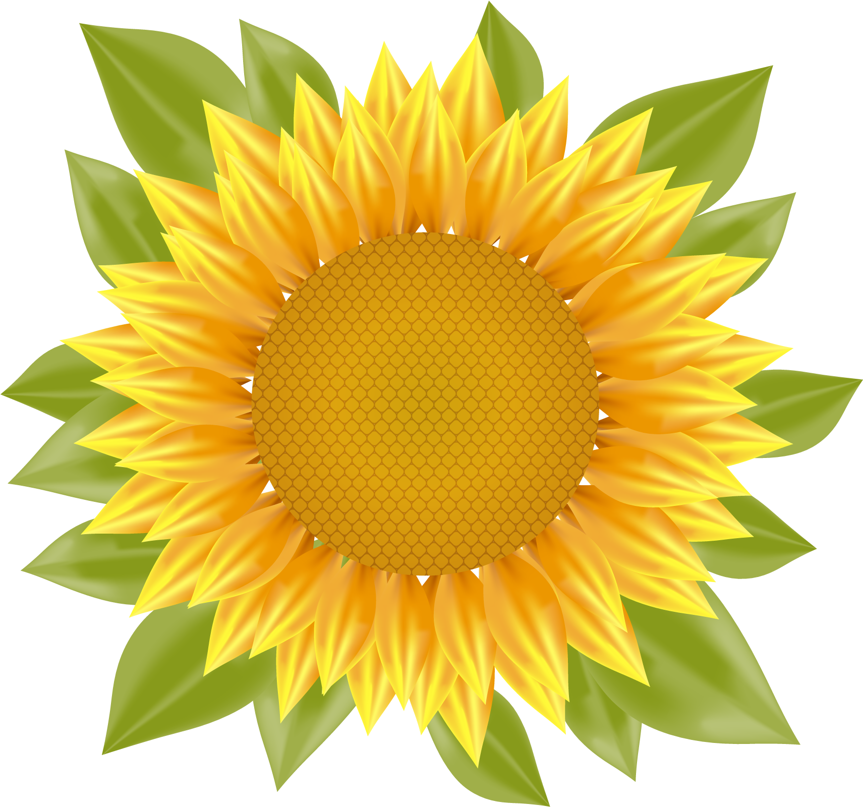 Sunflower Vector Png (1711x1600), Png Download