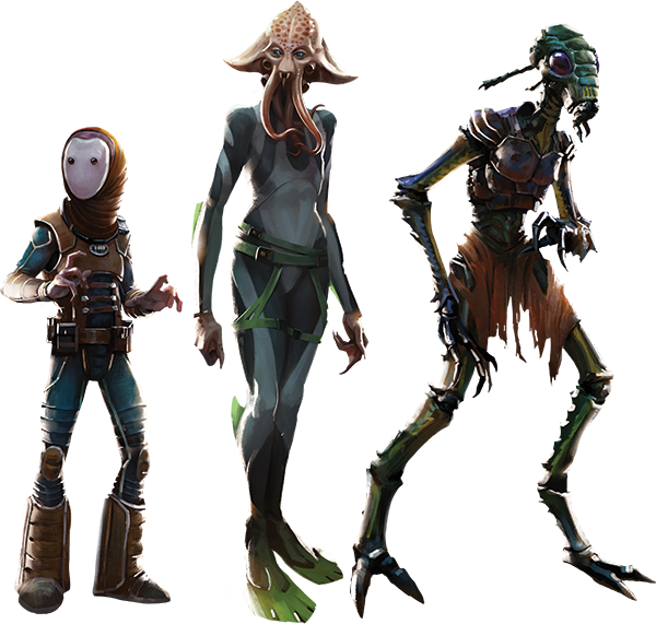 Star Wars Races - Star Wars New Species (600x571), Png Download