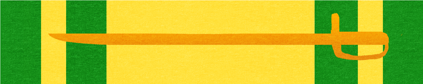Medal For Respect 1st Class Sa - Pattern (1372x345), Png Download