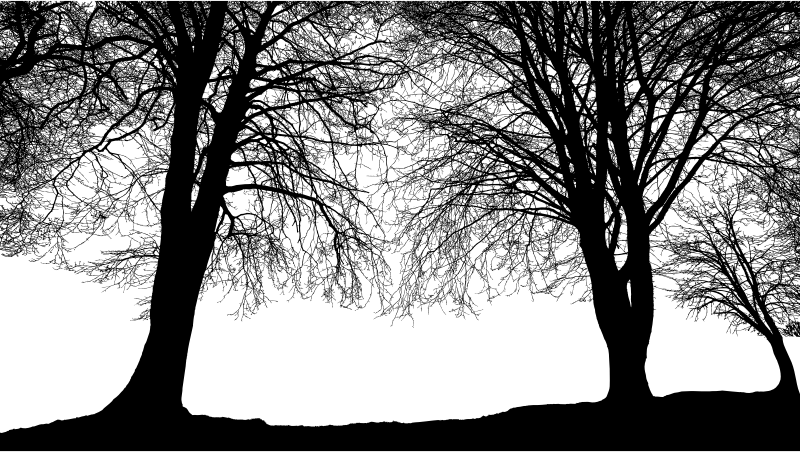 By Gdj - Silhouette (800x452), Png Download