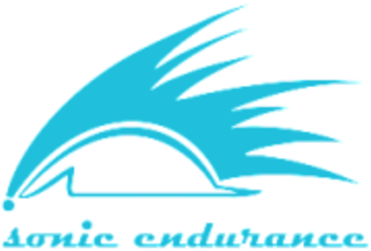 Sonic Endurance Lake Placid Camp - Graphic Design (800x800), Png Download