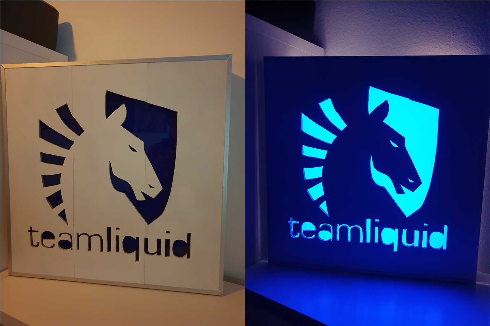 Build My Own Team Liquid Lamp - Team Liquid (1920x1080), Png Download