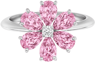 Main Navigation Section - Harry Winston Candy Rings (760x500), Png Download