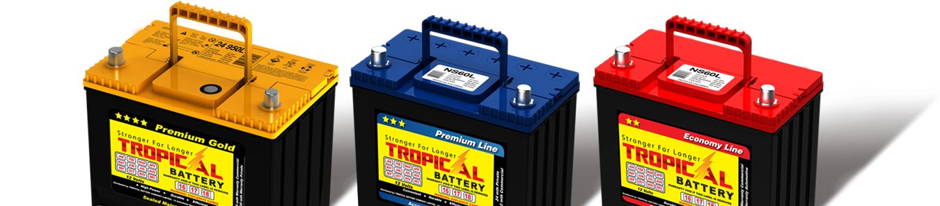 Tropical Battery (1412x305), Png Download