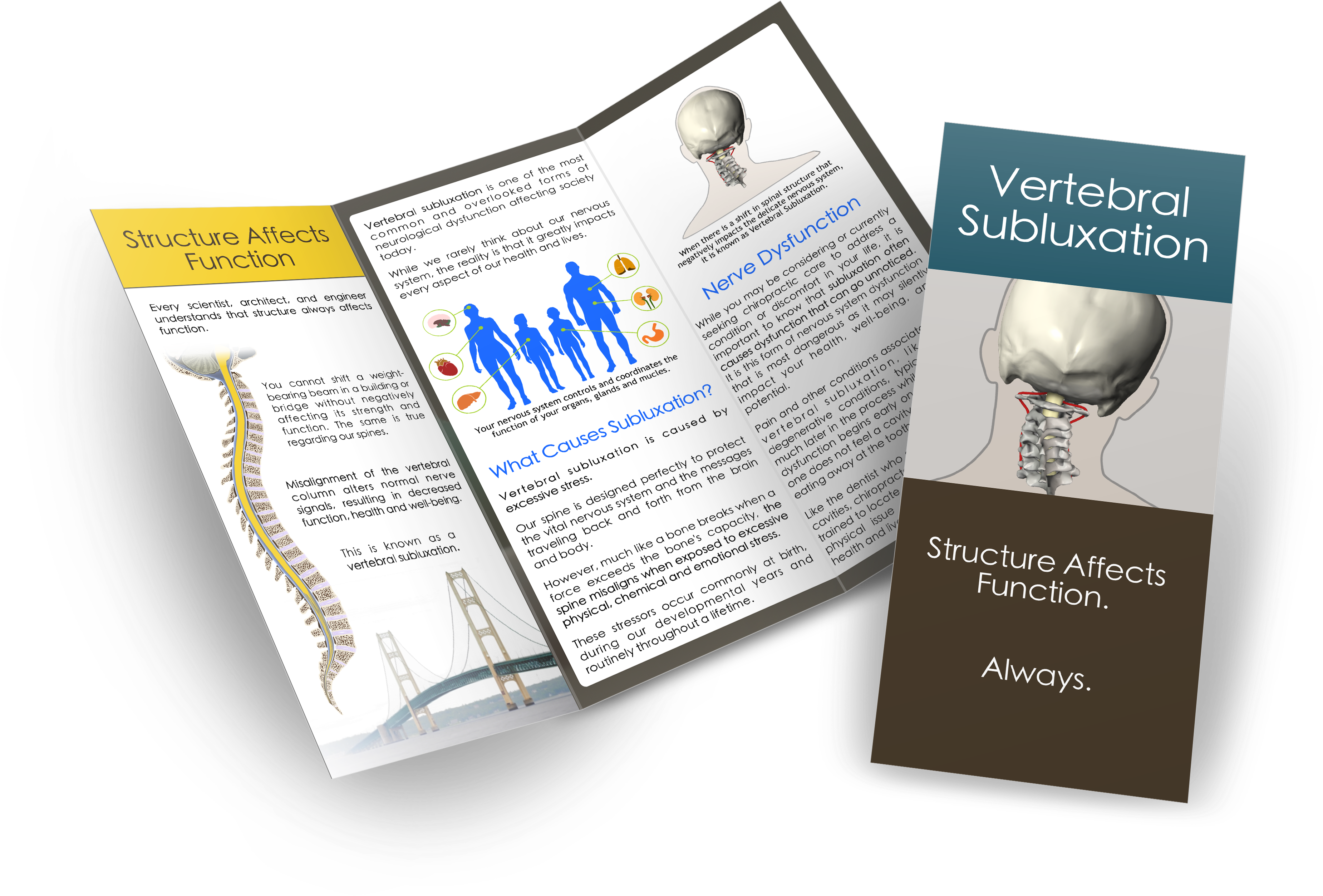 Most Comprehensive Subluxation Brochure - Creative Stress And Brochure (4380x3150), Png Download