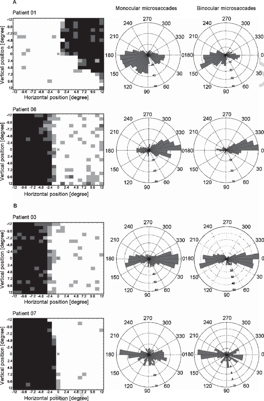 Hrp Visual Charts, Monocular And Binocular Microsaccade - Circle (850x1291), Png Download