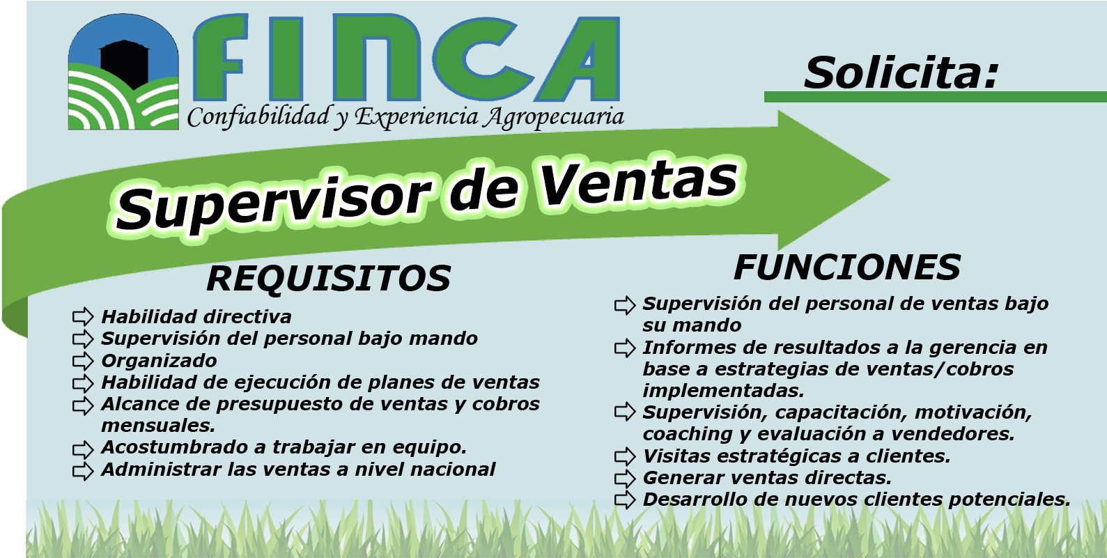 Vacant E Sin Boton - Grass (1600x800), Png Download