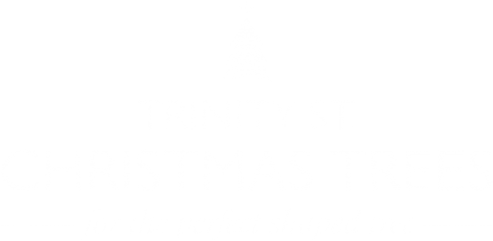 Trinity Street Christmas Tree Logo - Christmas Tree (1024x524), Png Download