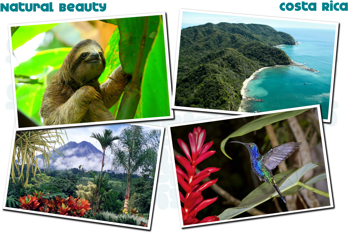 Vacation Highlights Costa Rica - Three-toed Sloth (1200x800), Png Download