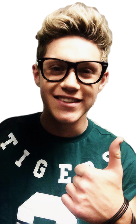Is This Your First Heart - Niall Horan Pictures With Glasses (455x750), Png Download