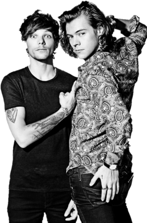 Larry Stylinson (500x727), Png Download