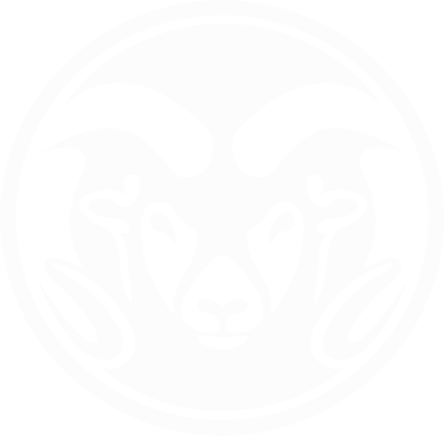 News Roll Bg Logo - Circle (896x880), Png Download