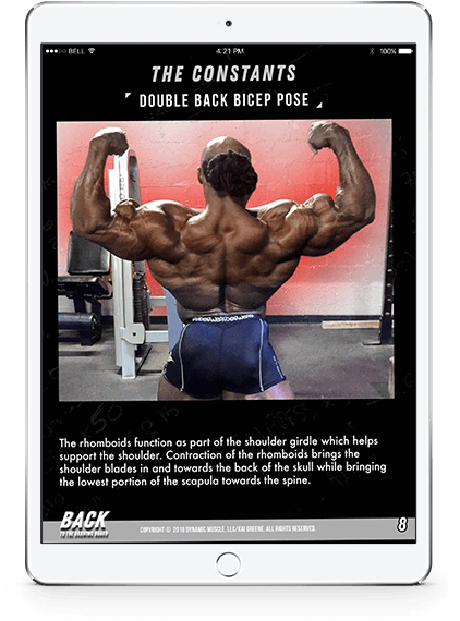 Back To The Drawing Board E-book - Bodybuilding (600x600), Png Download