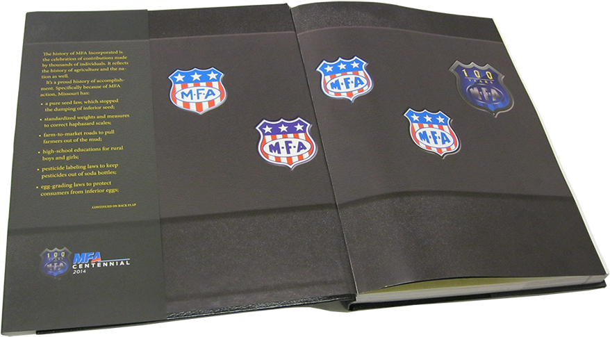 I Created A Custom Version Of The 100-year Shield With - Wallet (917x621), Png Download