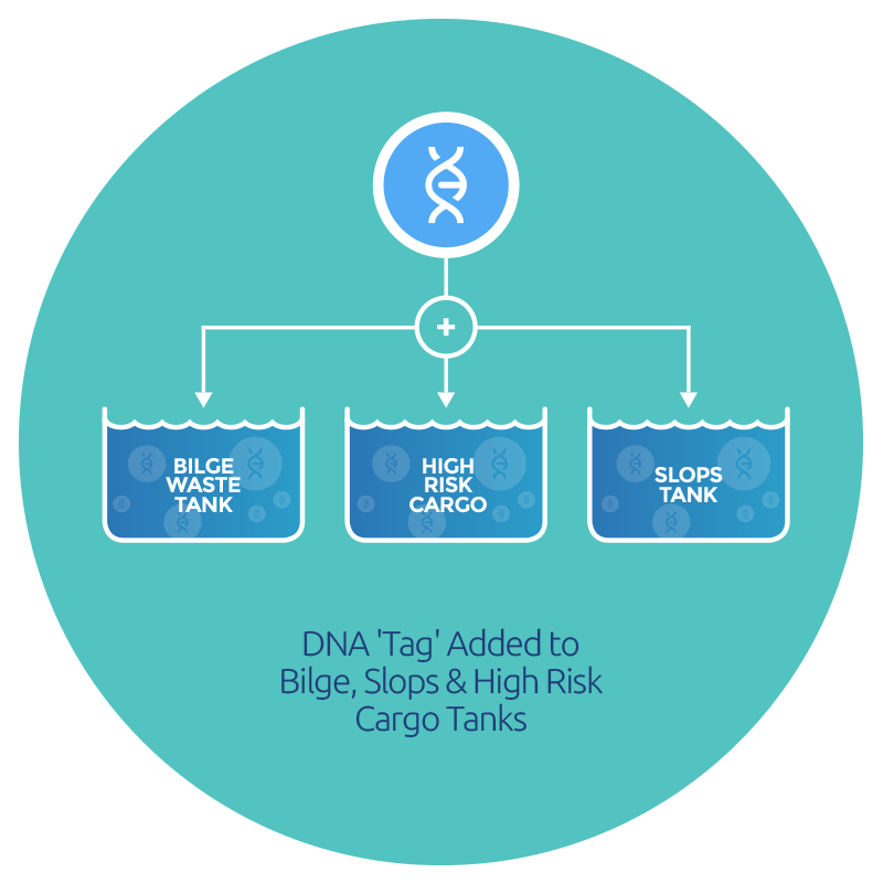 An Image Detailing How A Tracer Tracer Added To Bilge - Circle (800x800), Png Download