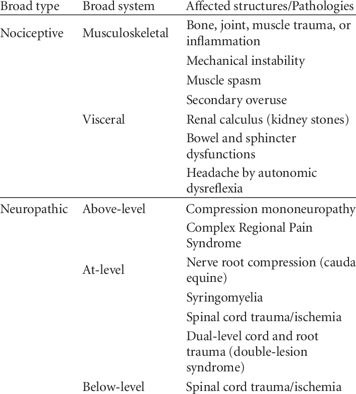Classification Of The Spinal Cord Injury Pain Task - Spinal Cord Lesions Classification (709x784), Png Download