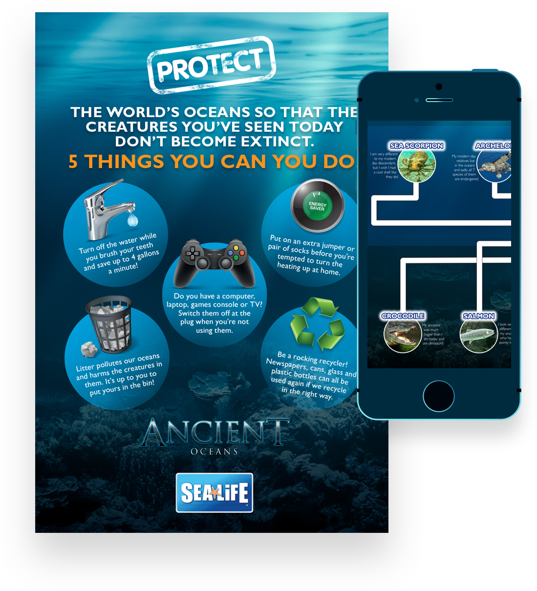 Our Solution - Flyer (1099x1210), Png Download