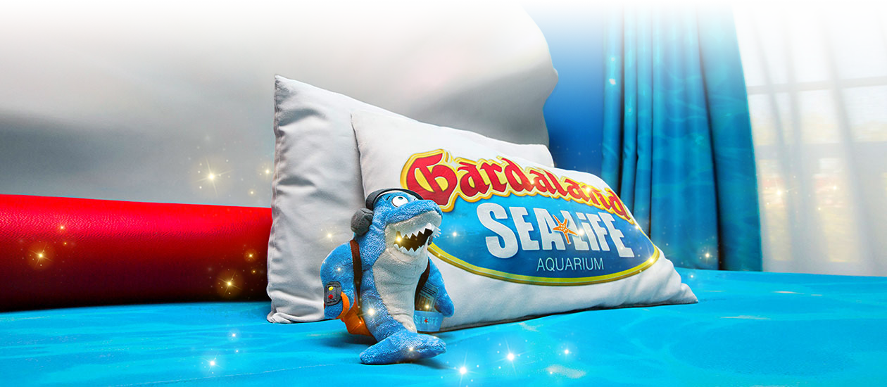 Sea Life Theme Room - Inflatable (1260x550), Png Download