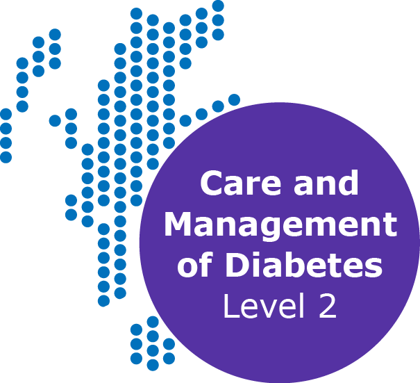 Button Care And Management Of Diabetes Level 2 - Hanukkah (605x551), Png Download