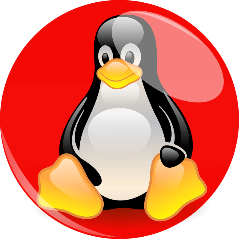 Tux Enterprise Linux Hat Red Penguin - Tux Red Hat (800x800), Png Download