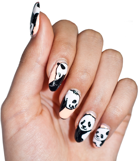 Real Nail Polish Nail Wraps - Nail Polish (1050x565), Png Download