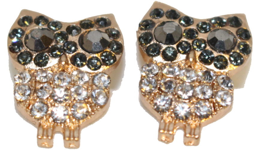 Owl Earrings - Earrings (1024x1024), Png Download