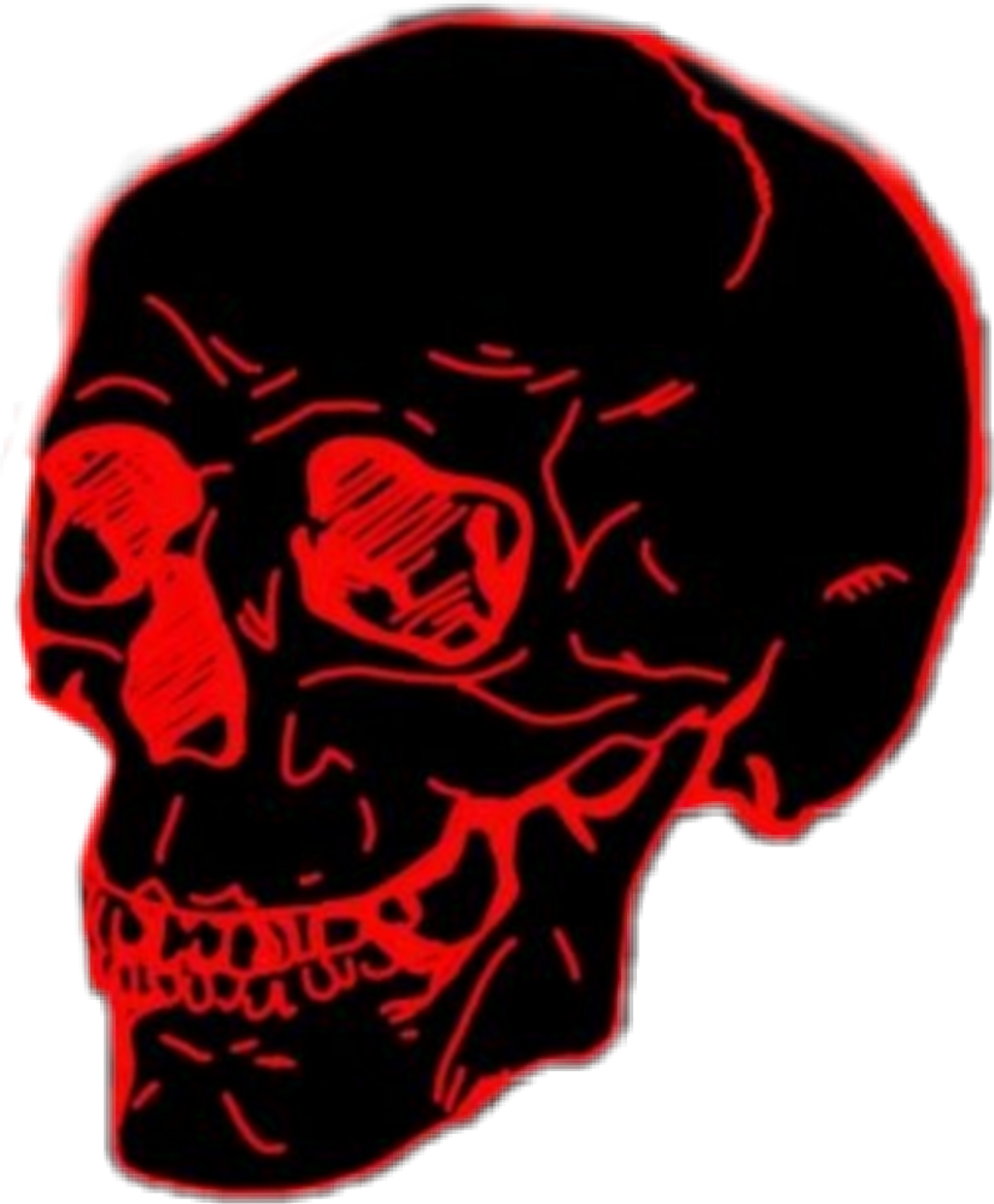 Skull Sticker - Skull (1024x1240), Png Download