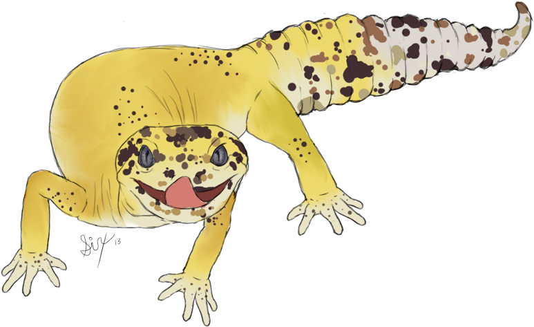 Loki The Leopard Gecko - Dibujos De Geckos Leopardos (800x483), Png Download