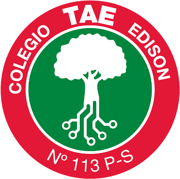 Twitter Logo Circular - Colegio Tomas Alva Edison (620x620), Png Download