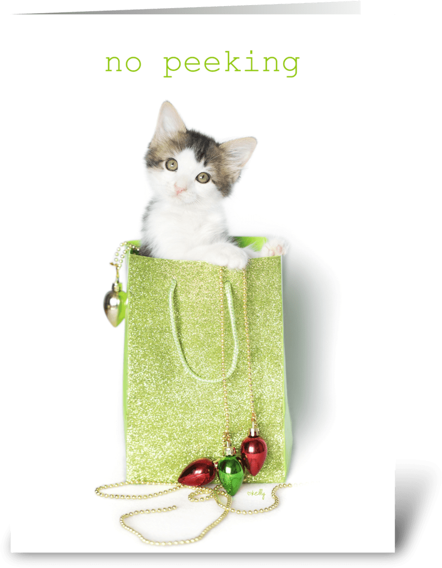 No Peeking Christmas Kitten - Domestic Short-haired Cat (1050x1188), Png Download