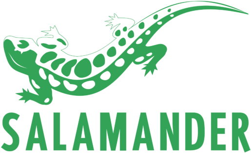 Vector Salamander (800x600), Png Download