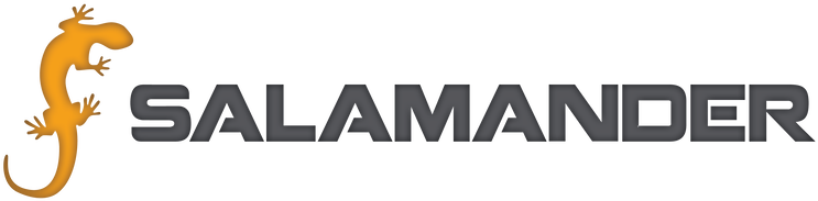 Salamander Em Solutions - Northern Seahorse (800x618), Png Download