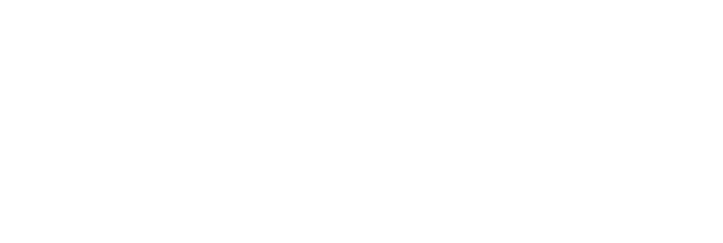 Guyana Tourism Authority - Happy New Year Wishes 2011 (2489x838), Png Download