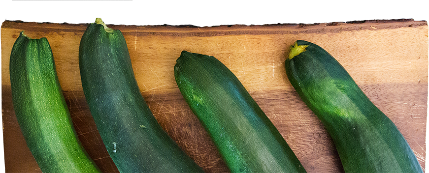All The Zucchini Effblog - Zucchini (900x351), Png Download