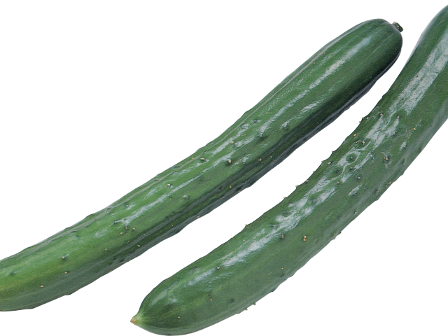 Zucchini Clipart Pipino - Cucumber (640x480), Png Download