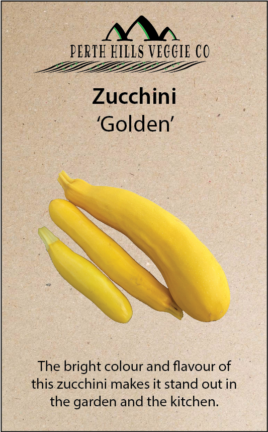 Zucchini (856x856), Png Download