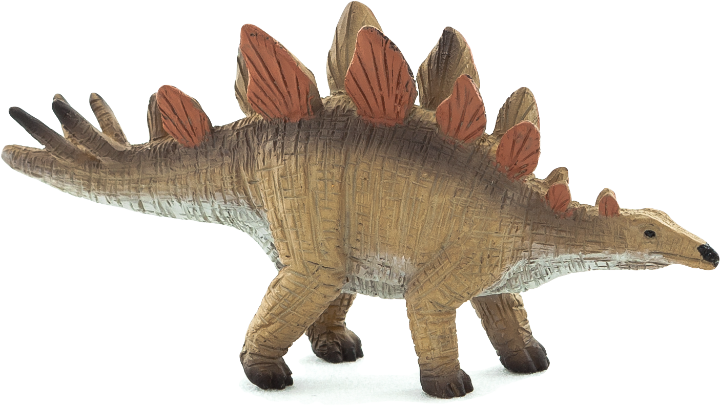 Stegosaurus (2307x1446), Png Download