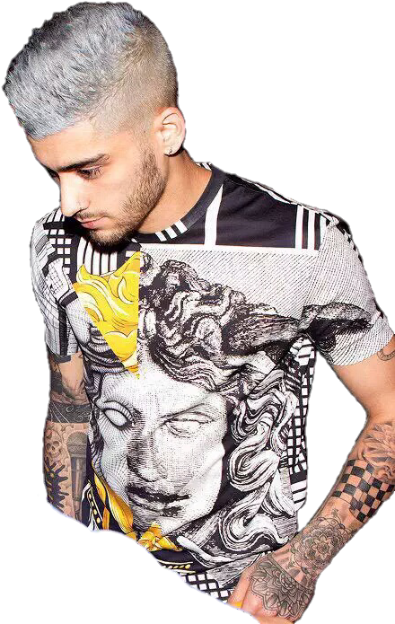 Skynouis, Instagram - Zayn Silver Hair (500x720), Png Download